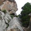 Our rappel line off the summit. Don't rap past the tree