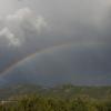 And I love to take pictures of pretty things!