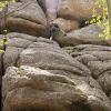 Briana at the start of the fun on Go West, Old Man (5.7)