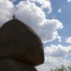 Summit!  
