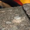 Thin cracks in the boulders of Vedauwoo