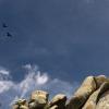 Looking up at Coyote Rocks on a beautiful summer afternoon