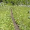 An hour later and we found another trail, woo hoo!