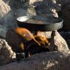 Cooking an awesome steak over the fire