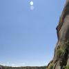 Hanging out along the cliffside