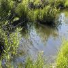 Calm waters of Vedauwoo Beaver Pond