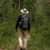 Hiking out through an aspen grove