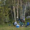 Camping in a grove of aspens