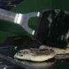 Liz cooks blueberry pancakes for all of the Wild Things