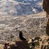 Sitting at the cliffs high above civilization
