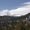 Snow storm over Long's Peak