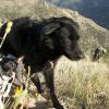 Izzy and Liv love to hike in the mountains