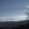 Late day sun and Long's Peak