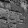 Volcanic rock at Diablo Canyon