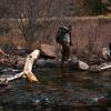 Crossing the Poudre River