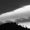 A larger version of the clouds, in all b&w
