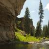 Pretty pine trees, pretty sandstone, pretty place