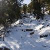 The trail to Cactus Cliffs is REALLY snowy