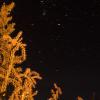 Firelight on the desert scrub and bright stars