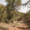 Hiking through the arroyo