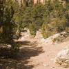 Walking the arroyos below Sand Gulch