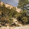 Deserts cliffs and trees