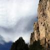 _DSC8784