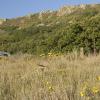 Dylan and Ann's camper in a field of wildflowers