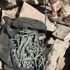 The lovely new rope has seen alot of use this summer!