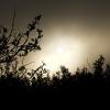 The sunrise through the clouds