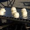Mark and Kate try to cook biscuits on a campfire