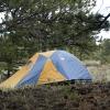 Our tent in a nice grove of ponderosa pines