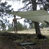 I set up the tarp in a grove of trees in case it rained