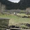A spring feeds a cattle watering hole
