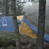 Our tent in the forest