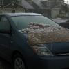 That blanket probably wasn't big enough to protect the new car