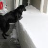 The First Holiday Blizzard of 2006