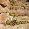 Old stairs from surrounding neighborhoods lend access to the trails near the creek