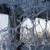 The ice-covered trellis