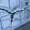 Icy Christmas lights - while they were still powered