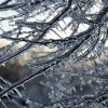 Lots and lots of icicles