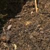 Homemade Dirt!