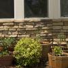 Early summer container garden