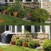 Comparison view of the whole garden