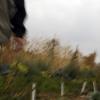 Mark and His dad head into the fields