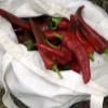 Bag full of peppers!