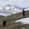 Backpacking in the Collegiate Peaks Wilderness:  May 27-30, 2006