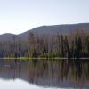 Dead trees reflected in the lake