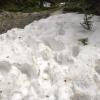 Hiking through deep snow, in July, in the Snowies!