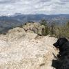 Liv is a mountain dog
